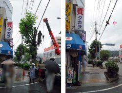 ★店舗前の通行にご注意下さい